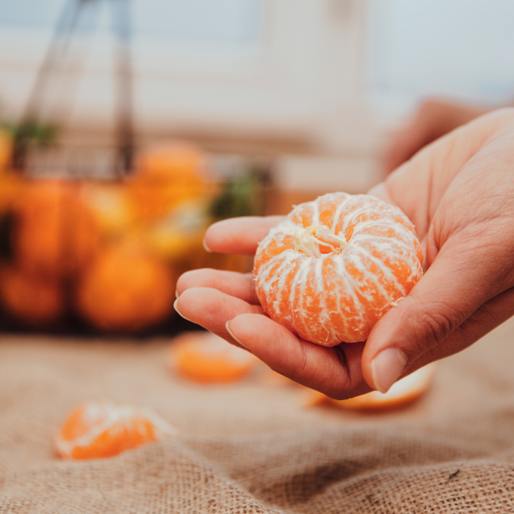 南非蜜柑 ( 六隻 )