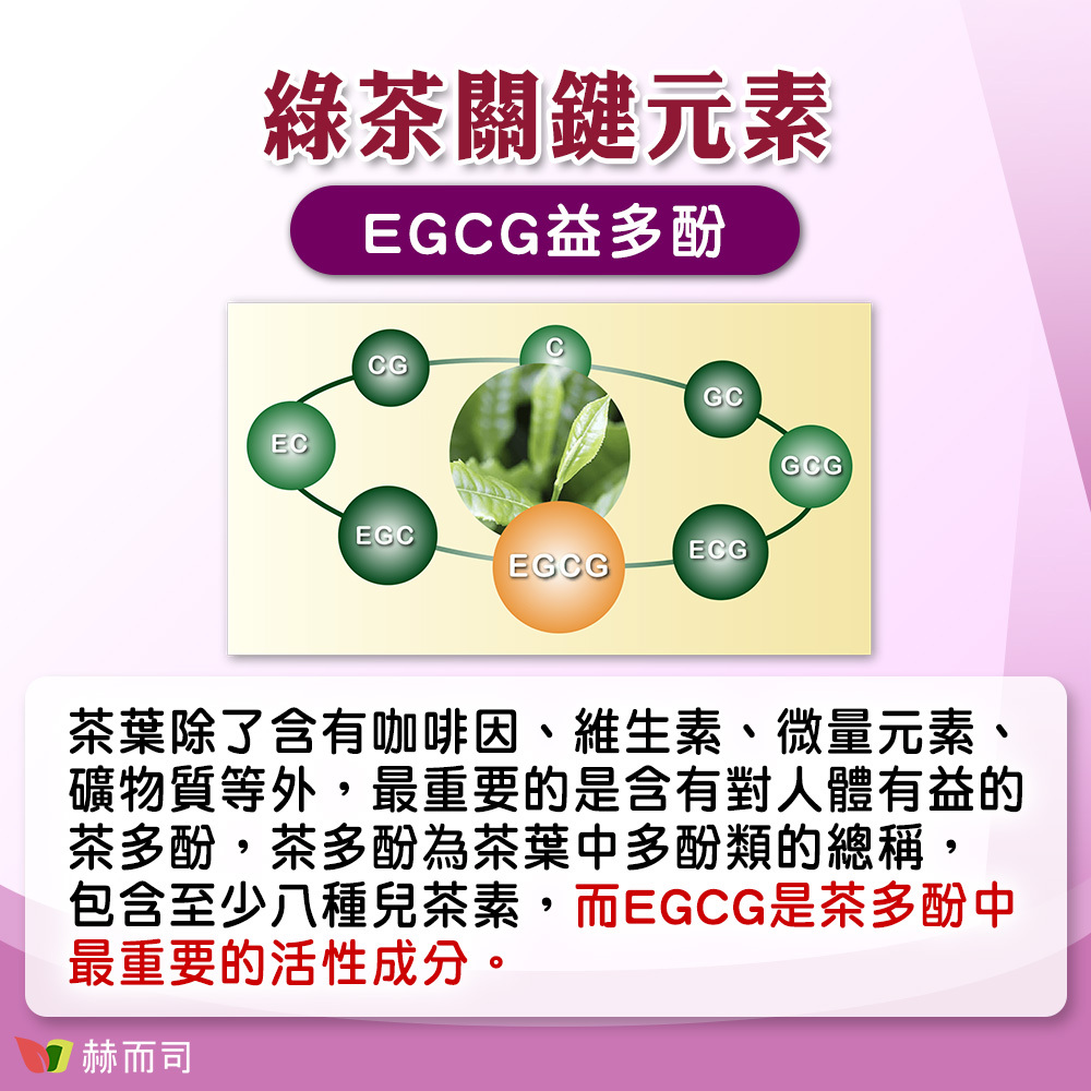 【赫而司】OPC-3複方養顏素葡萄籽+EGCG+C 綠茶關鍵元素EGCG益多酚，茶葉除了含有咖啡因、維生素、微量元素、礦物質等外，最重要的是含有對人體有益的茶多酚，茶多酚為茶葉中多酚類的總稱，包含至少八種兒茶素，而EGCG是茶多酚中最重要的活性成分