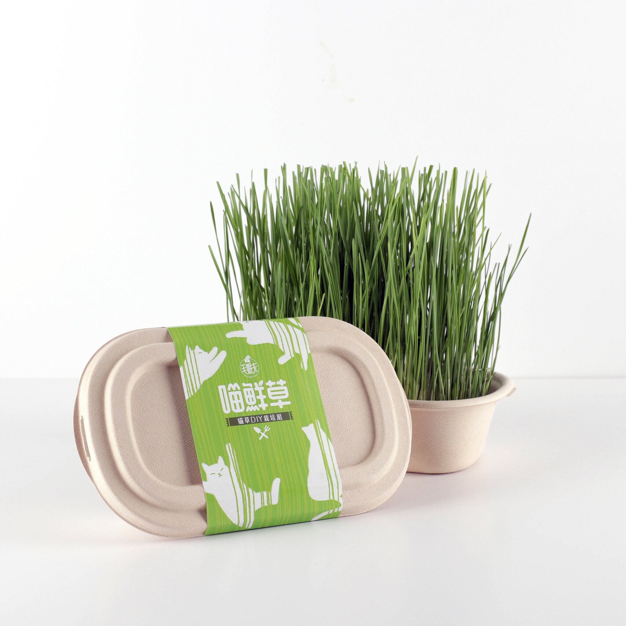 毛姐夫 - 貓咪盆栽 - 喵鮮草貓草DIY栽培組