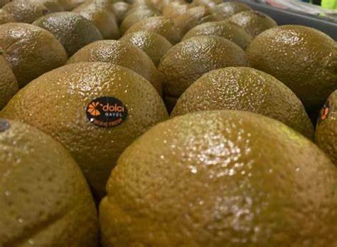 澳洲朱古力橙 (3個)