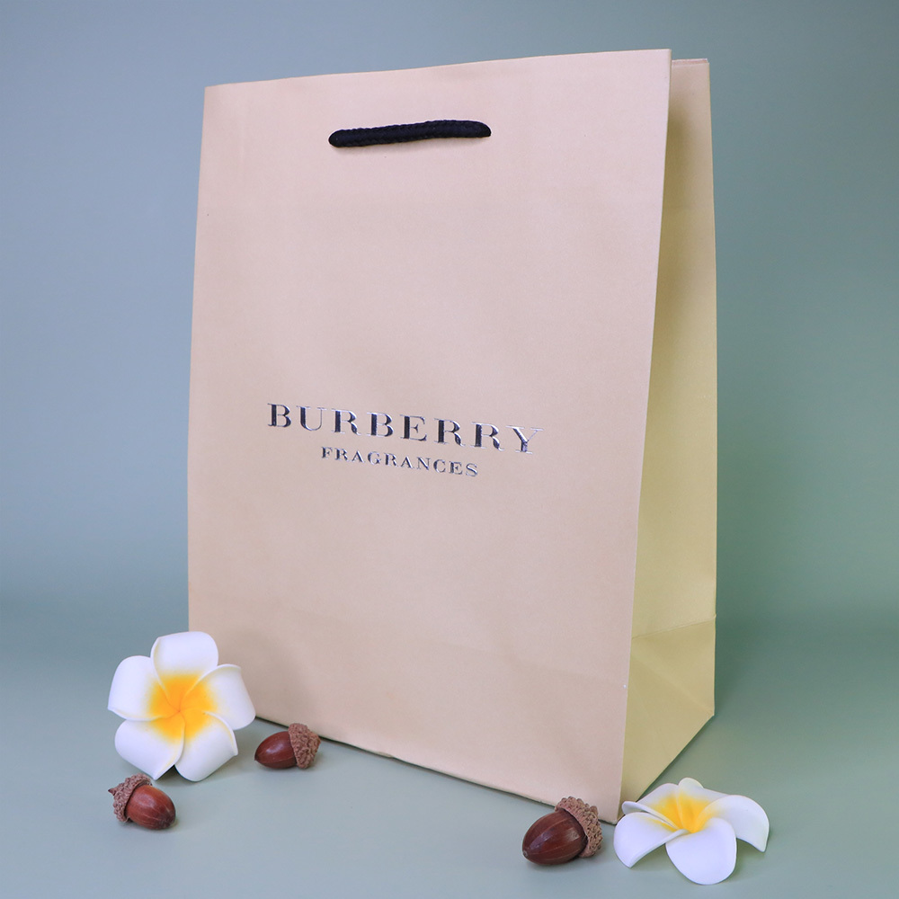 BURBERRY 精美紙袋 (小) - BA0003