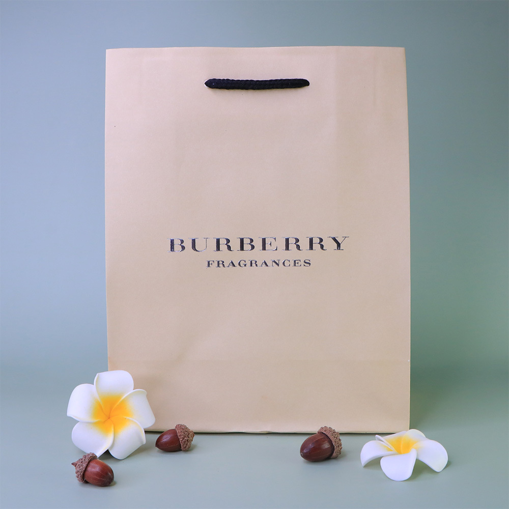 BURBERRY 精美紙袋 (小) - BA0003
