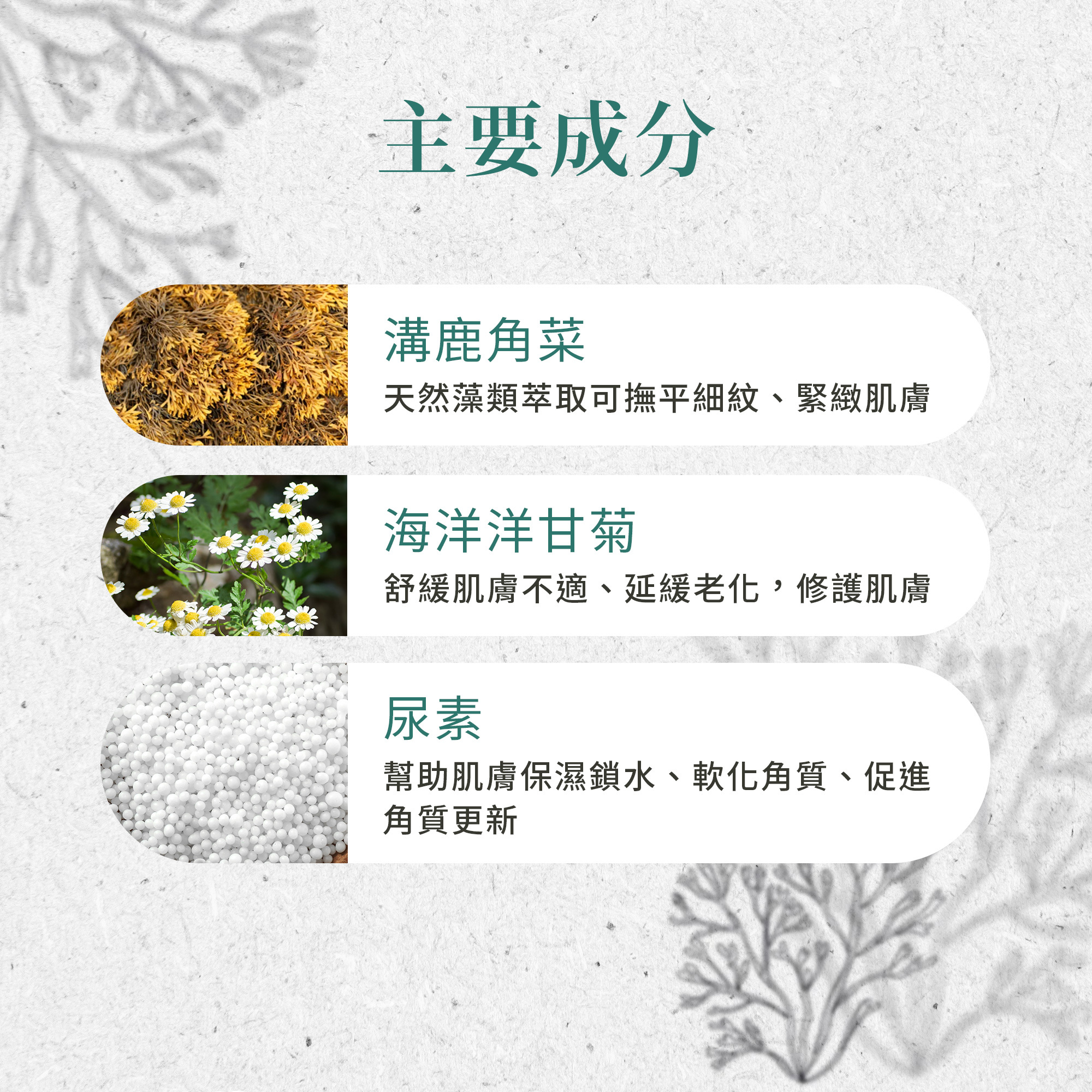 海藻保濕果凍面膜