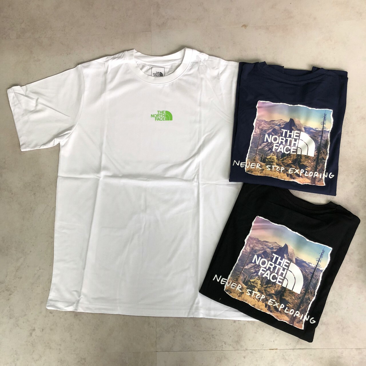 The north face 純棉風景畫LOGO印花短袖Tee NF0A81NA