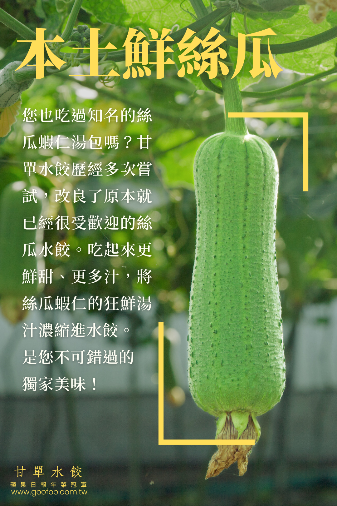 富含水分與膳食纖維的絲瓜是夏天的優質選擇