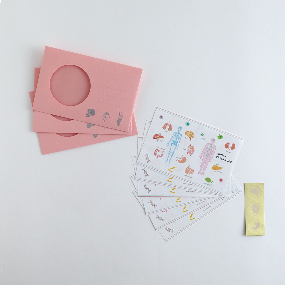 人體生物學 行星科學 信紙信封組 ｜日本STUDY HOLIC