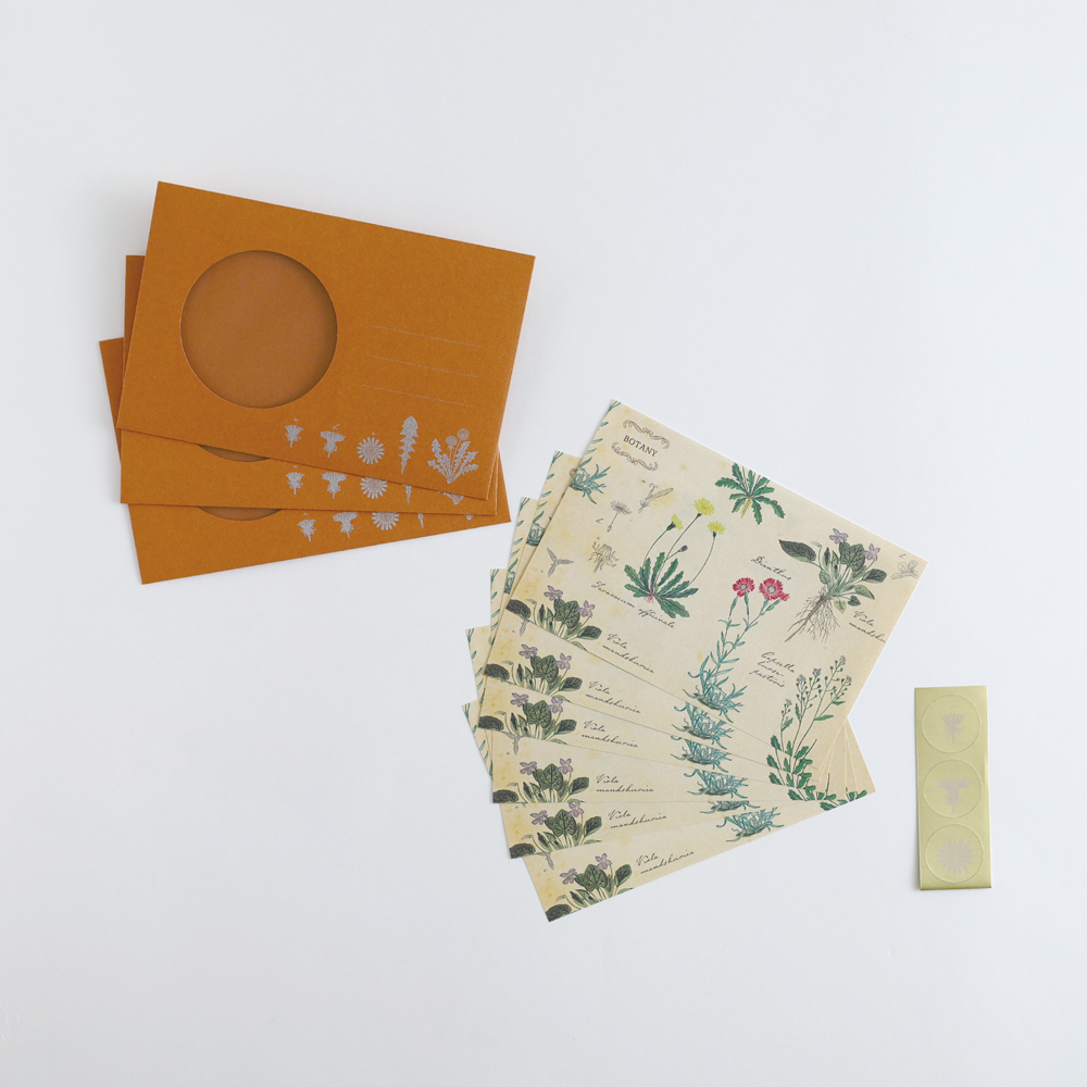 植物學 行星科學 信紙信封組 ｜日本STUDY HOLIC