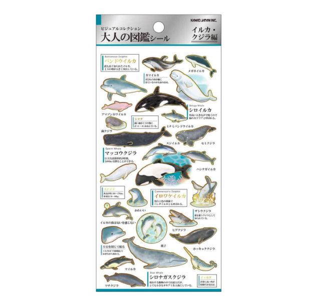 海豚與鯨魚 大人的圖鑑 金箔壓印手帳貼紙｜日本Kamio