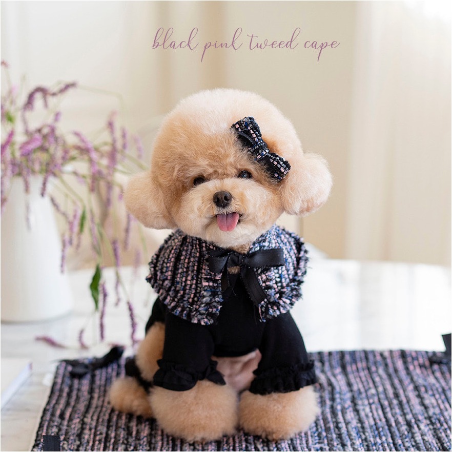 OPAAAP Black Pink 毛呢領圍披肩