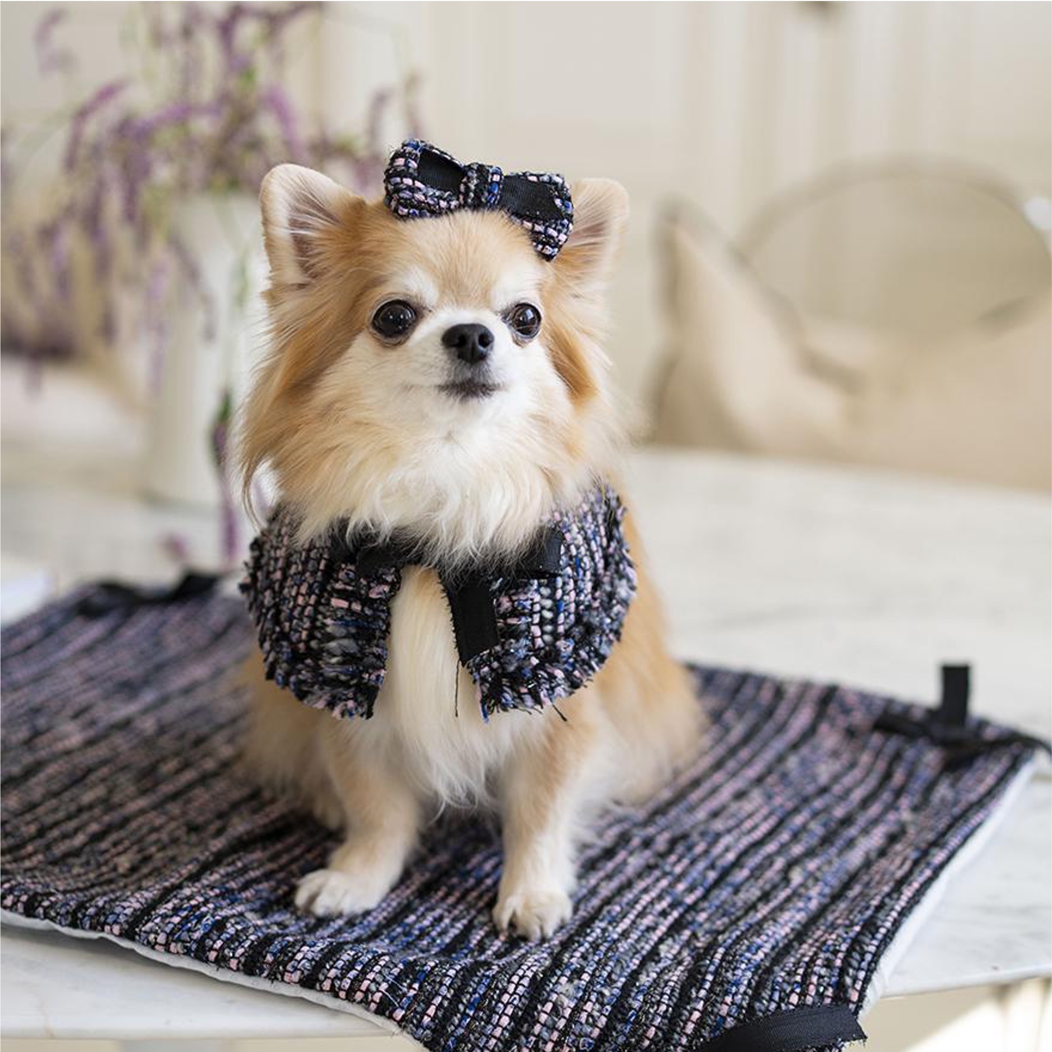 OPAAAP Black Pink 毛呢領圍披肩