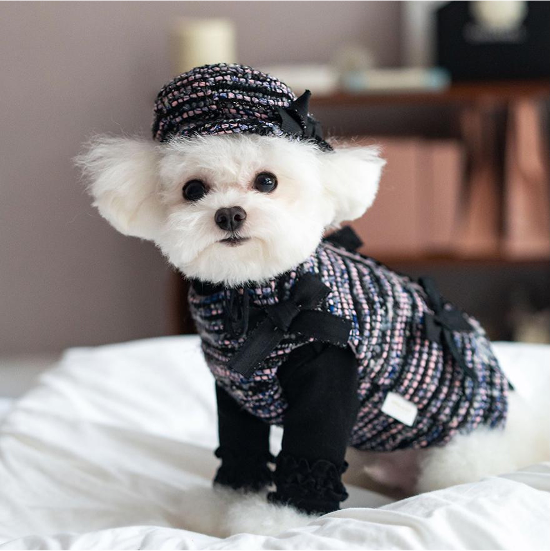 OPAAAP Black Pink 毛呢背心