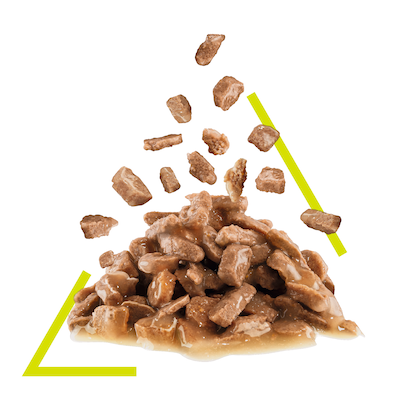 Royal Canin Adult Cat Sensory Smell/Taste/Feel Gravy．85g