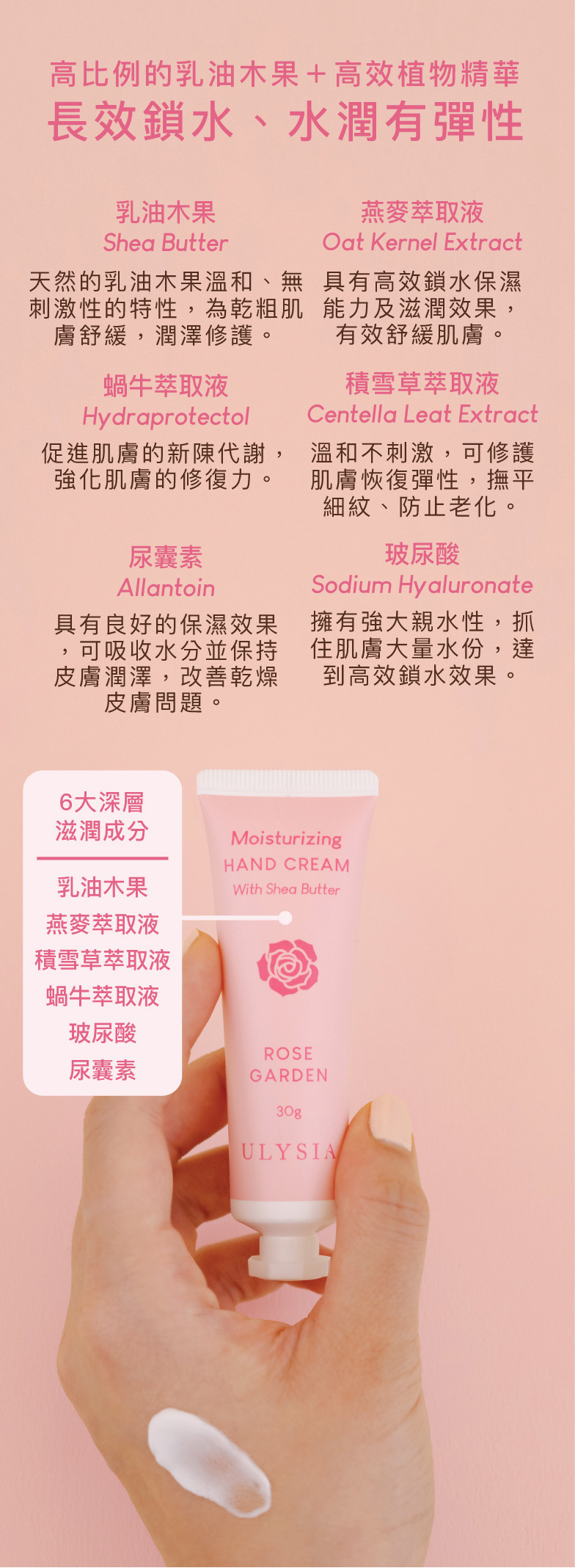 添加專利養髮配方，改善脫髮困擾