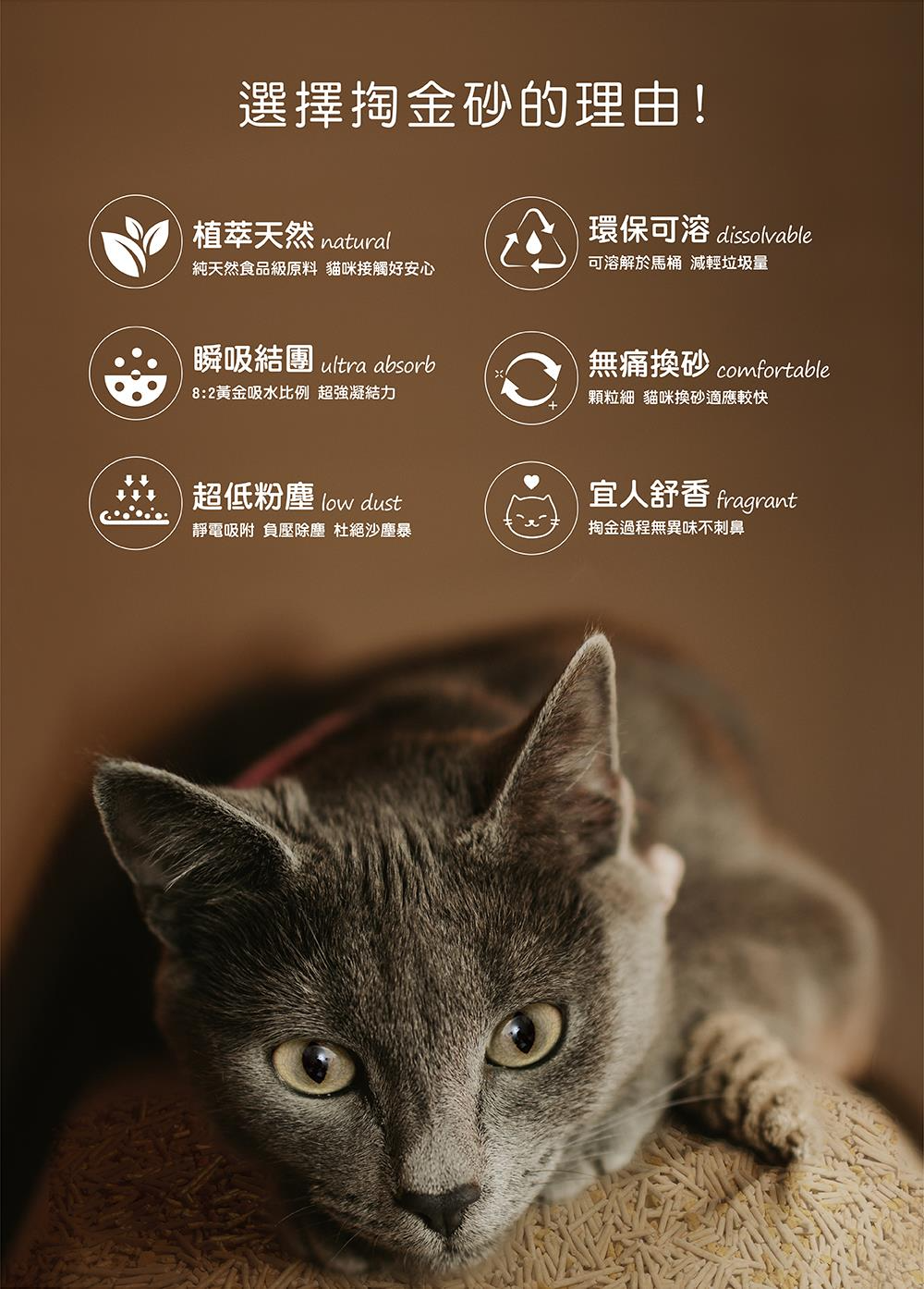 免運 Plant 輕植系掏金砂 (原味) 2.2KG 8包組