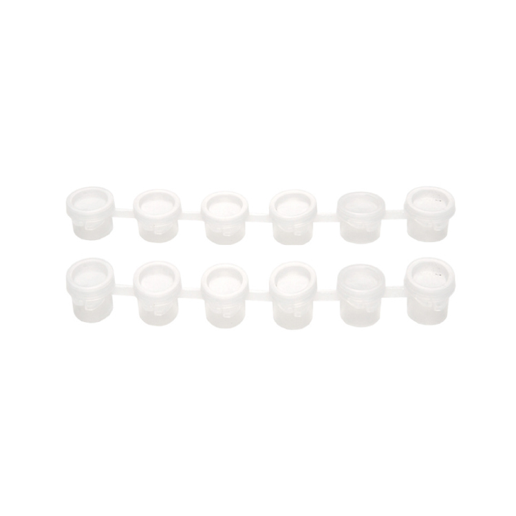 台灣 F&G 六連體顏料格空盒 3ml 5ml