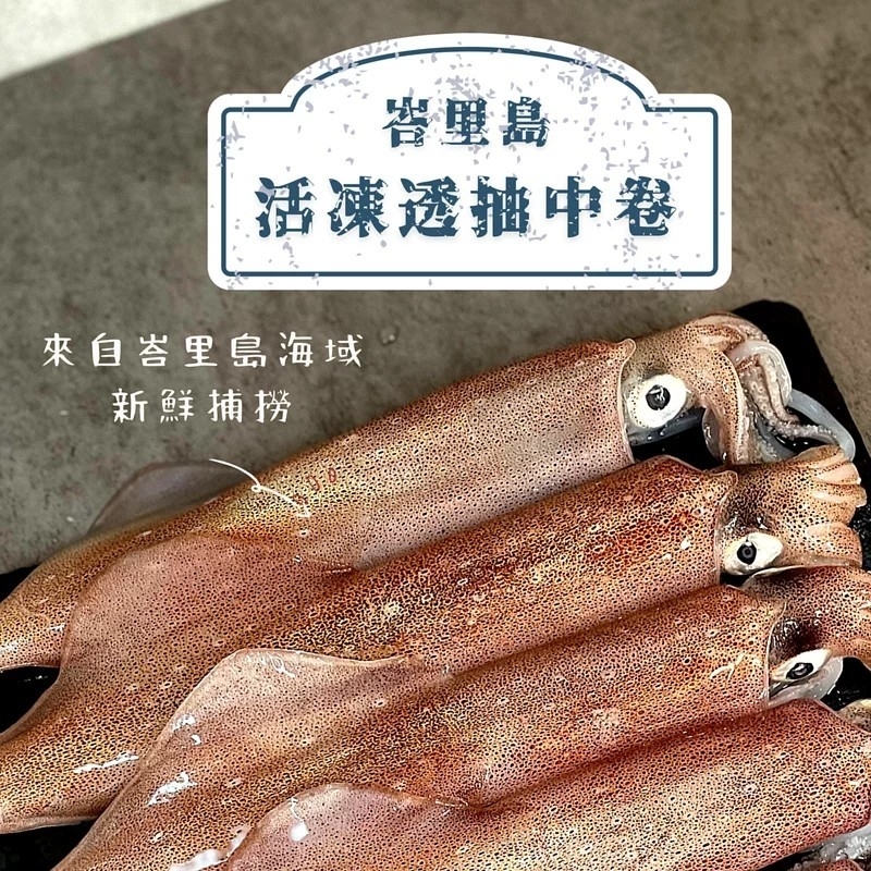 峇里島船凍野生透抽