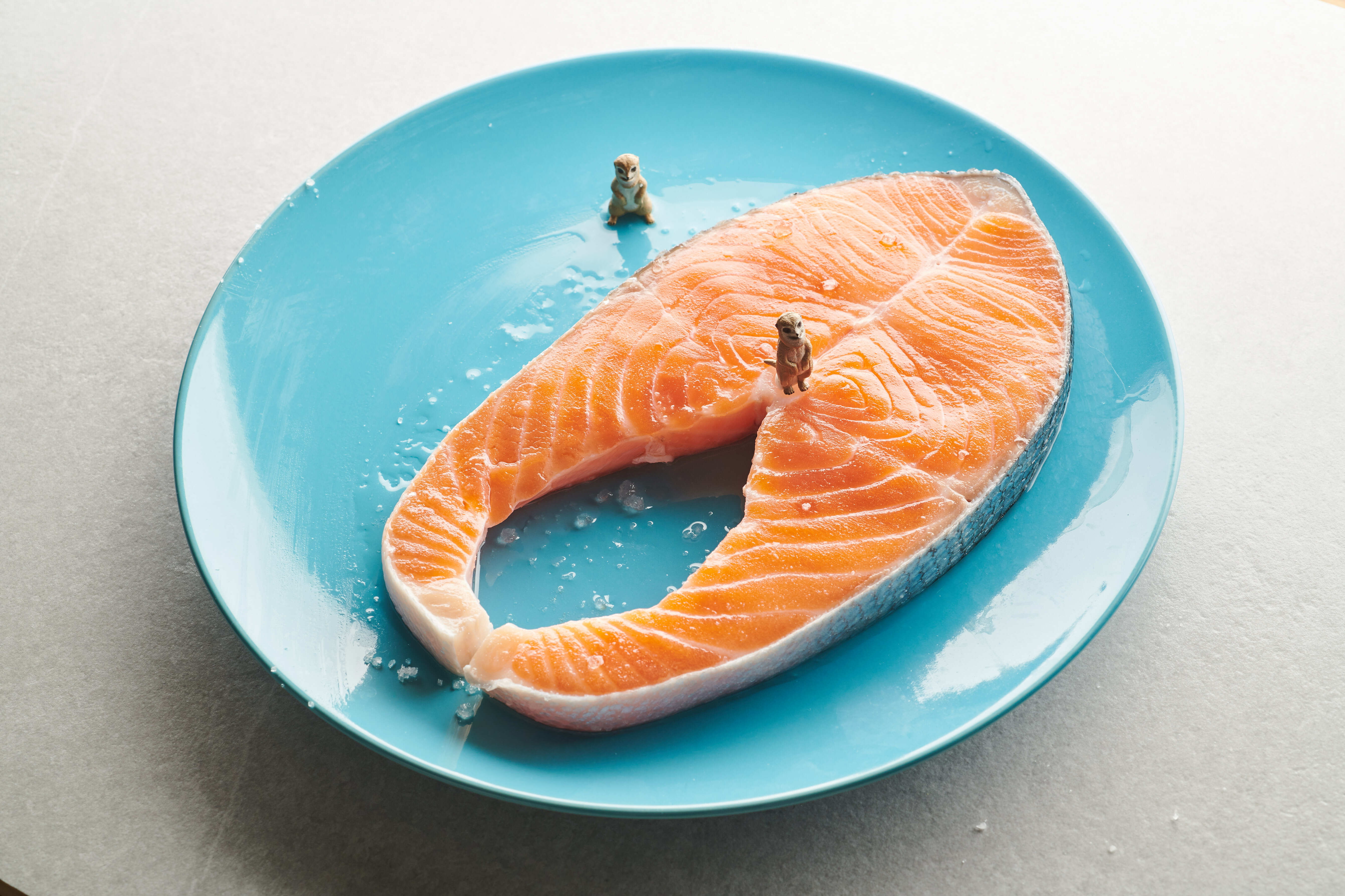 清蒸鮭魚料理推薦食材不老鮭魚輪切片