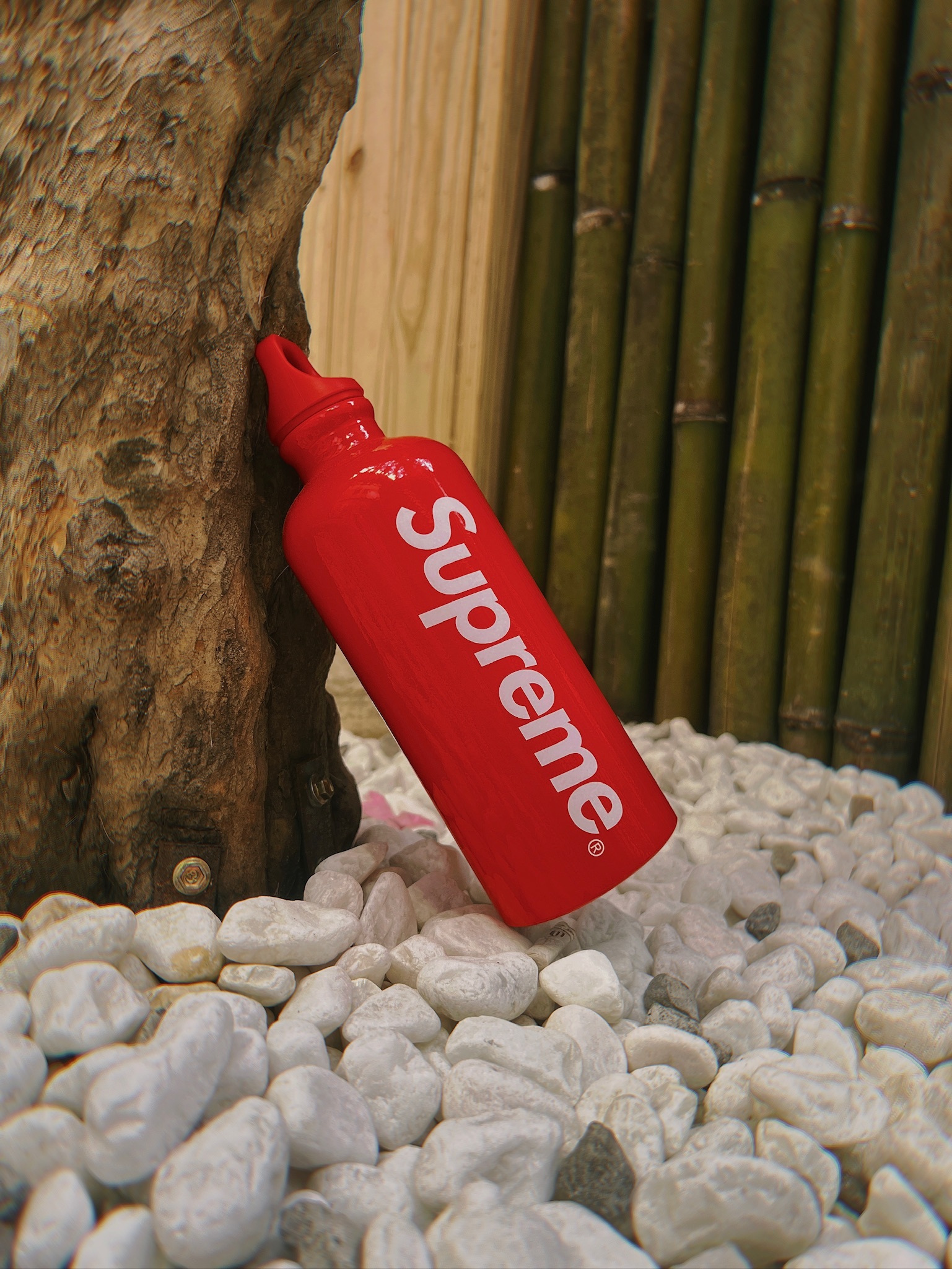 Supreme ®/SIGG Traveller 0.6L Water Bottle 水瓶