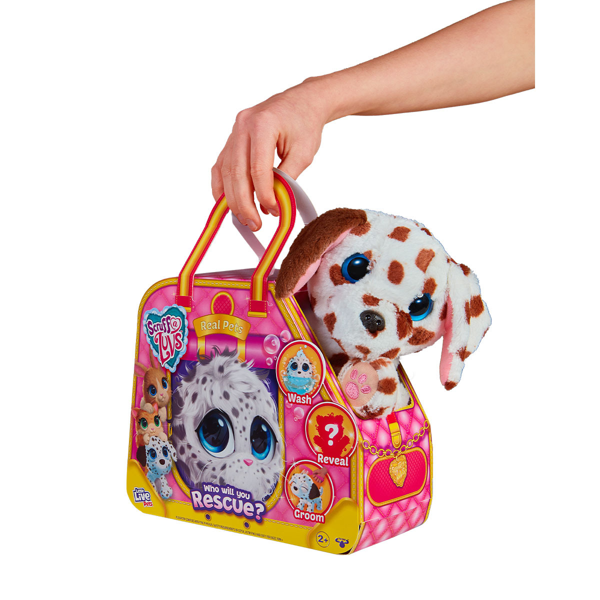 救救小毛球系列10- 寵物編