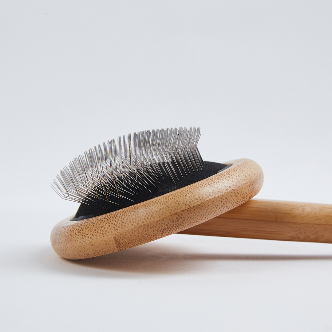 澳洲Essential dog｜順毛梳（中長毛適用）