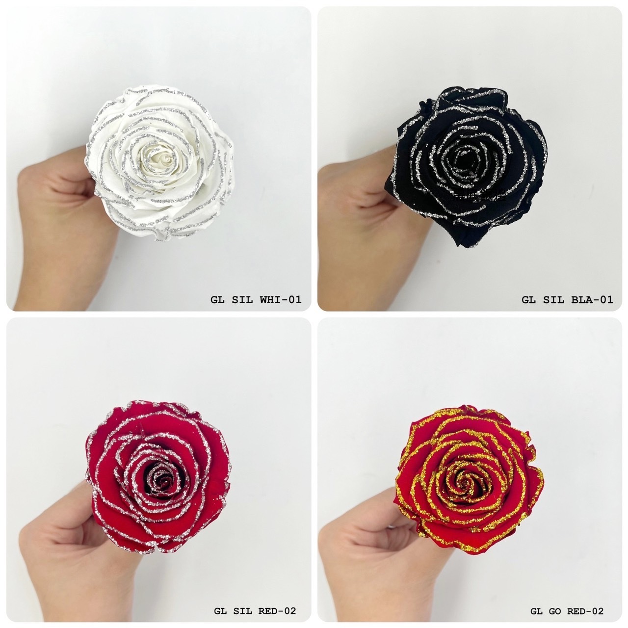 厄瓜多 ROSEAMOR XL GL SIL