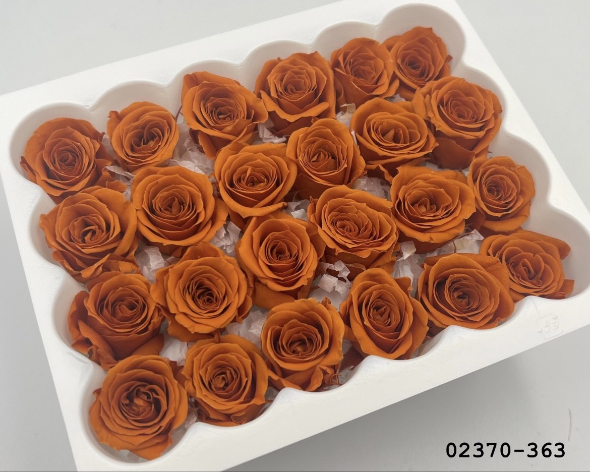 日本不凋迷你玫瑰(24朵) 02370-363