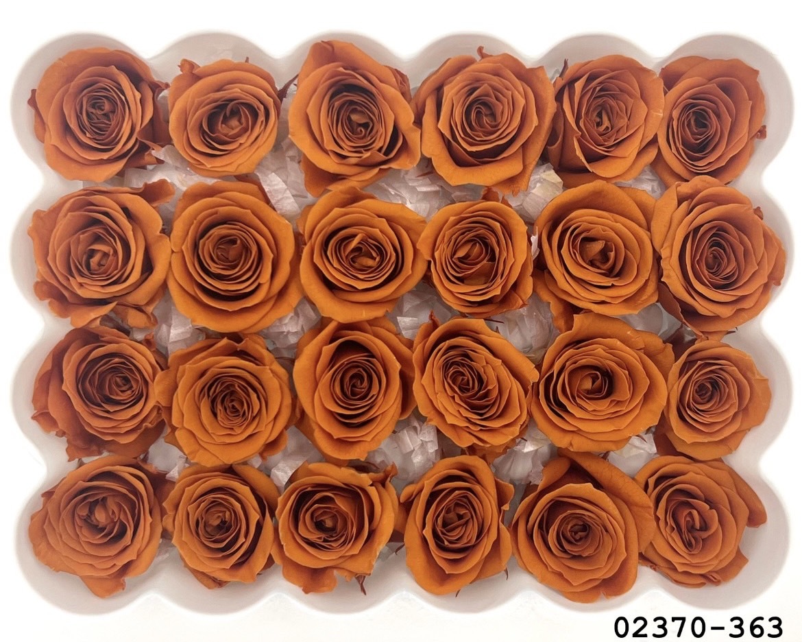 日本不凋迷你玫瑰(24朵) 02370-363