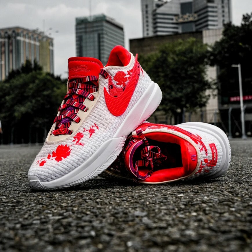 Nike x Mimi Plange LeBron XX PRM EP 20 白牡丹 聯名 實戰藍球鞋 男鞋