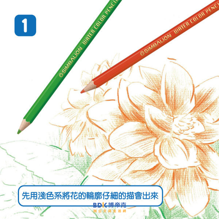 雄獅鉛筆 SIMBALION 水性色鉛筆(紙盒) WTP 系列