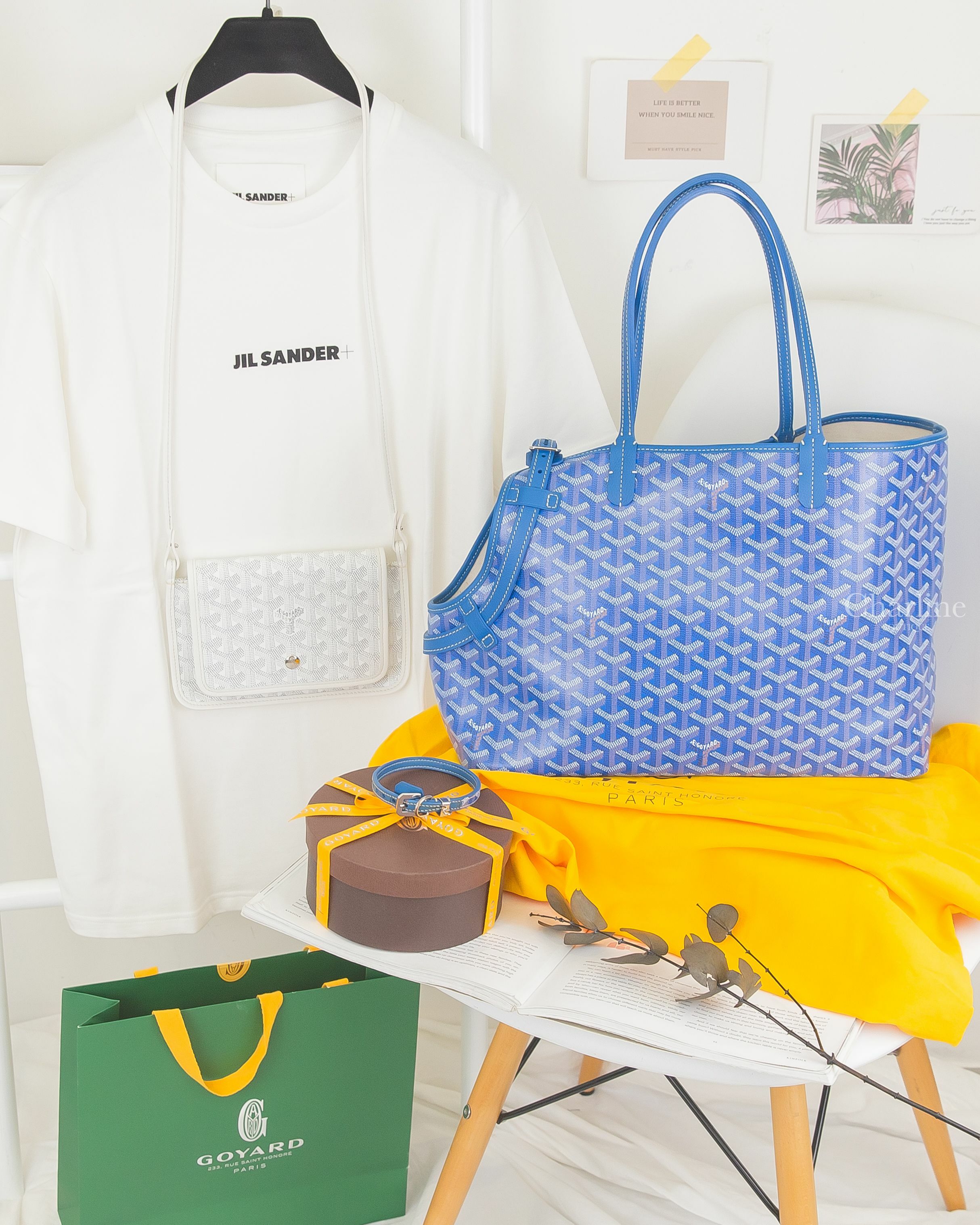 Goyard Chien Gris Bag 寶藍色提把無拉鍊寵物托特包,Goyard 白色小牛皮肩背包,Jil Sander Logo T-shirt 白色短袖黑色小 Logo 印花棉T-Charline Boutique 精品代購