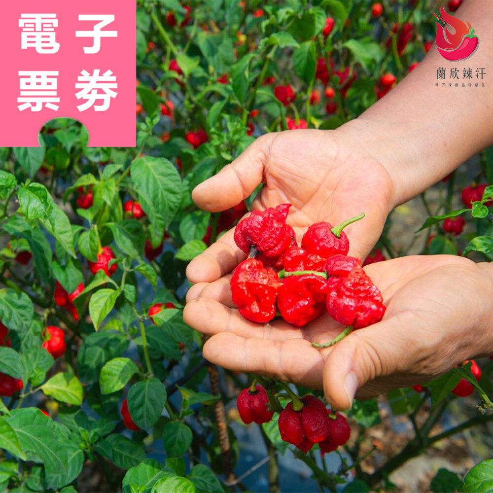 【電子票券】屏東｜蘭欣辣汗花果休閒農場 體驗券 Ⓣ