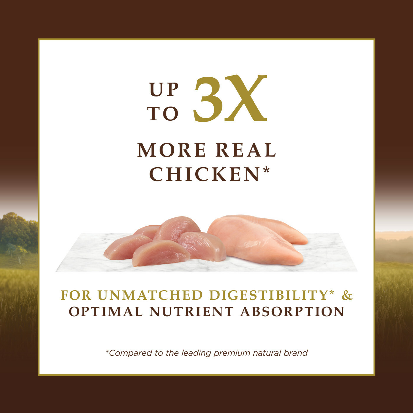 [對抗業界大毒瘤限時優惠] Instinct 本能 - 頂級蛋白質雞肉貓糧 Ultimate Protein® Grain-Free Cage-Free Chicken Recipe 10lb