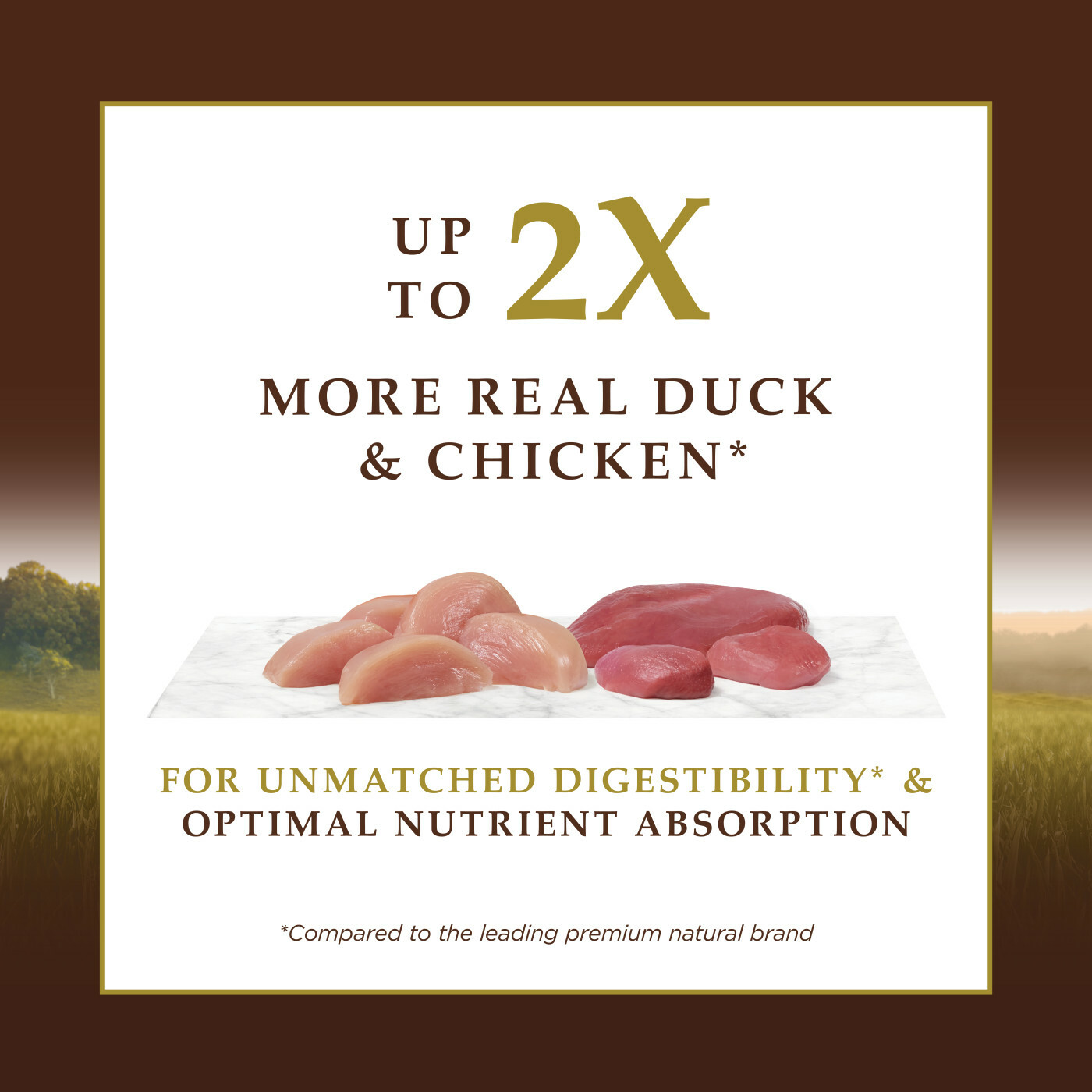 [對抗劈價毒瘤限時優惠] Instinct 本能 – 頂級蛋白質鴨肉貓糧 Ultimate Protein® Grain-Free Cage-Free Duck Recipe 4lb