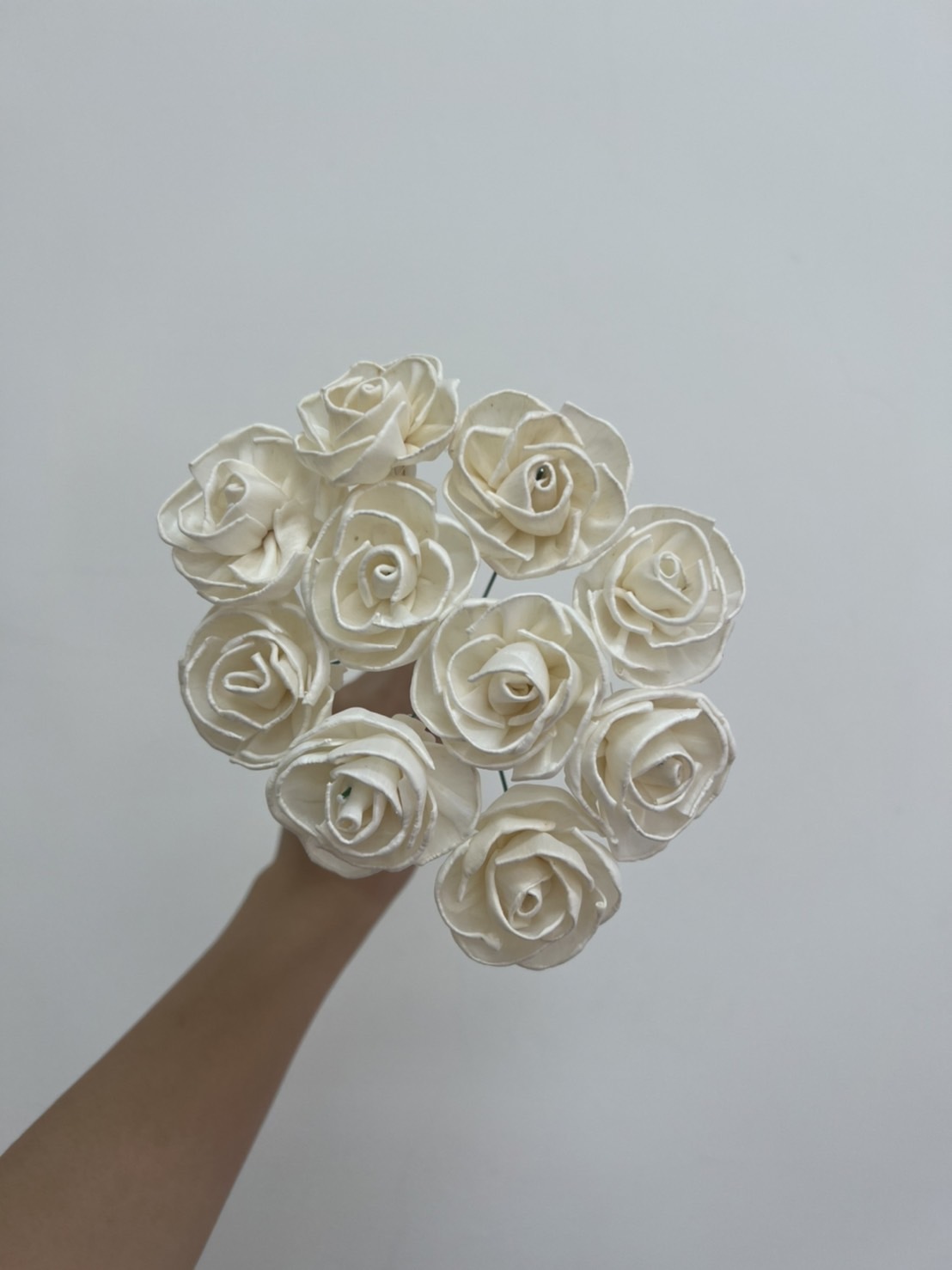 泰國索拉花 薔薇玫瑰 4CM <十支一把> (高品質)