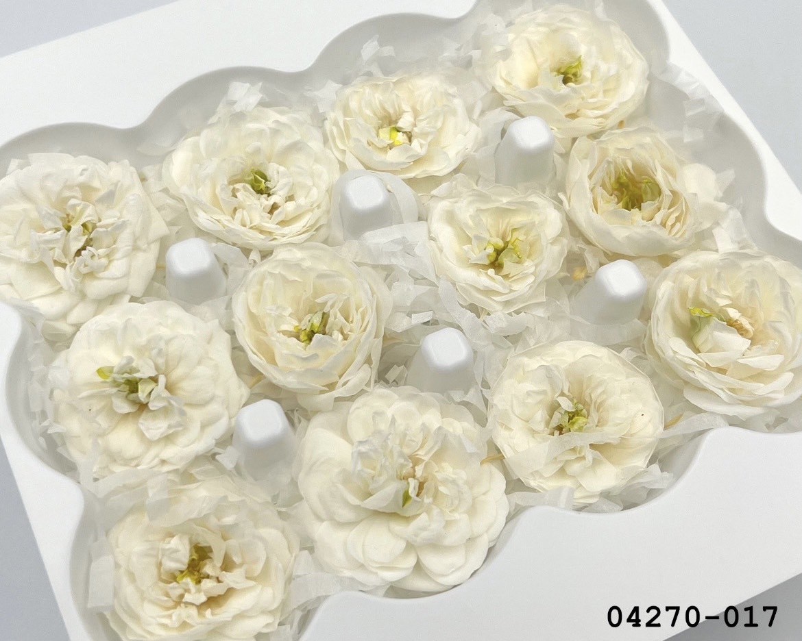 不凋重辦薔薇玫瑰 (12朵) 04270-017