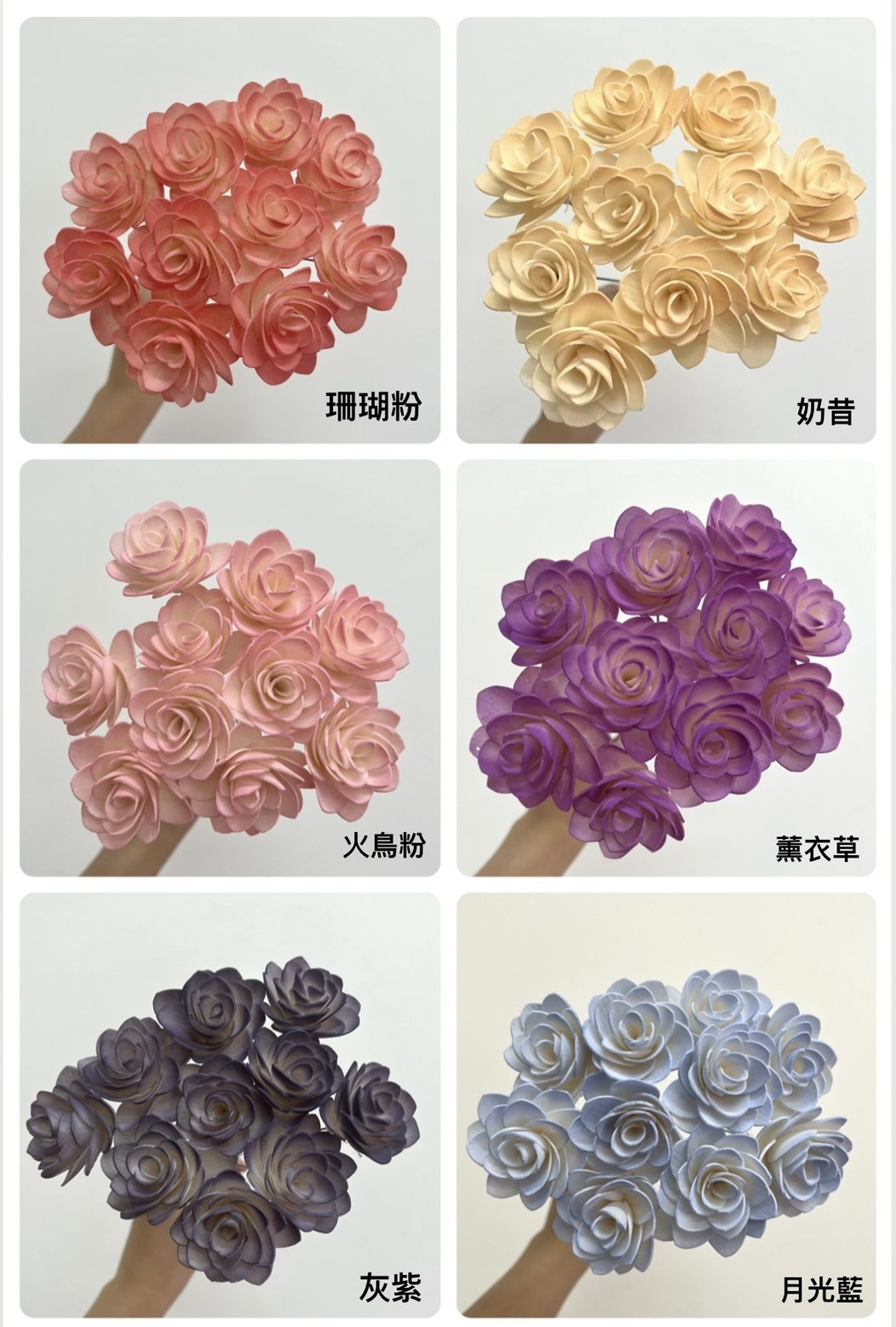 泰國索拉 雪山玫瑰 4CM <十支一把> (高品質)