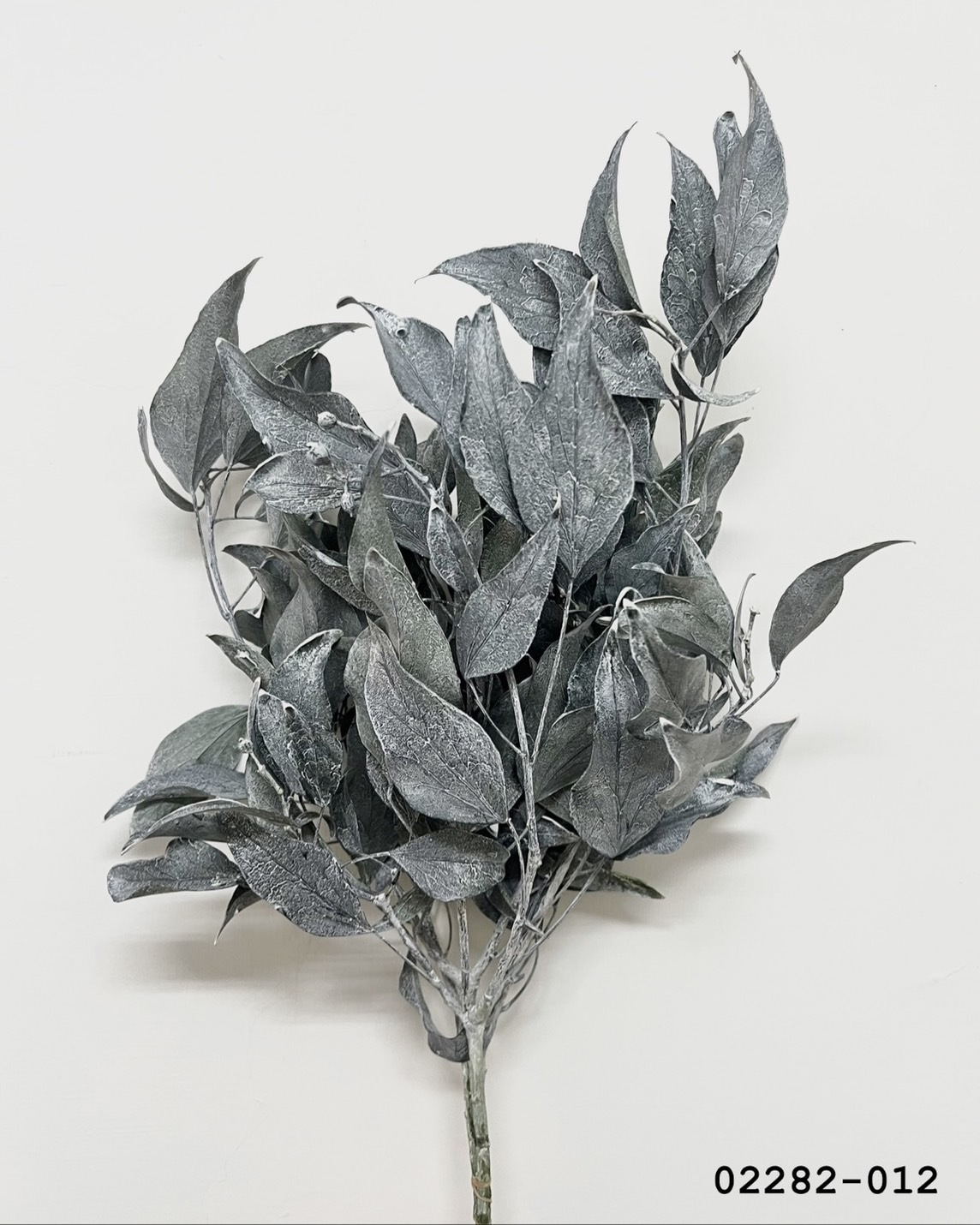 不凋常春藤 02282-012