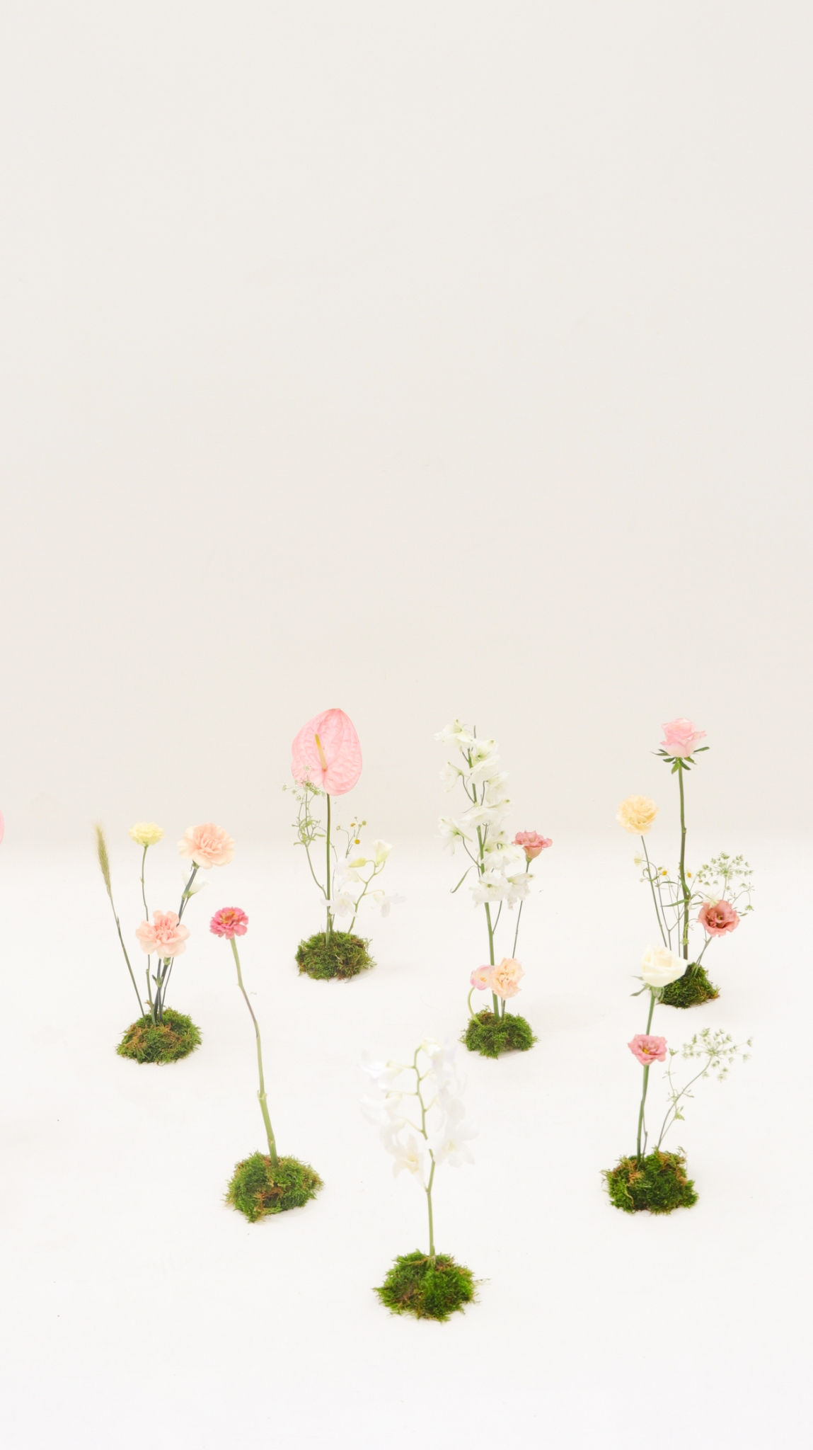 Space Deco -棚拍小島地上花佈置