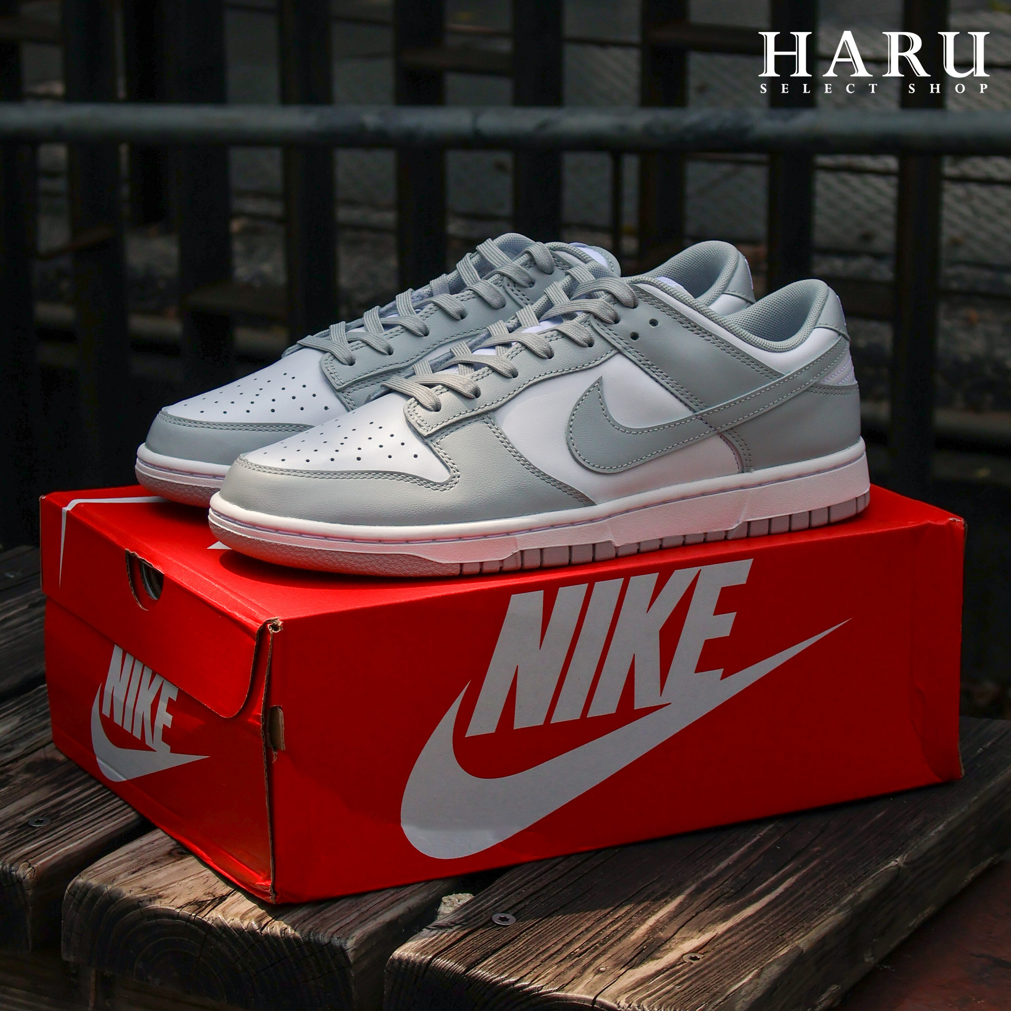 NIKE DUNK LOW 灰白 FOG 骨白 DD1391-103 PHOTON DUST DD1503-103 男女生 復古休閒鞋 DD1873-113 HF5441-105