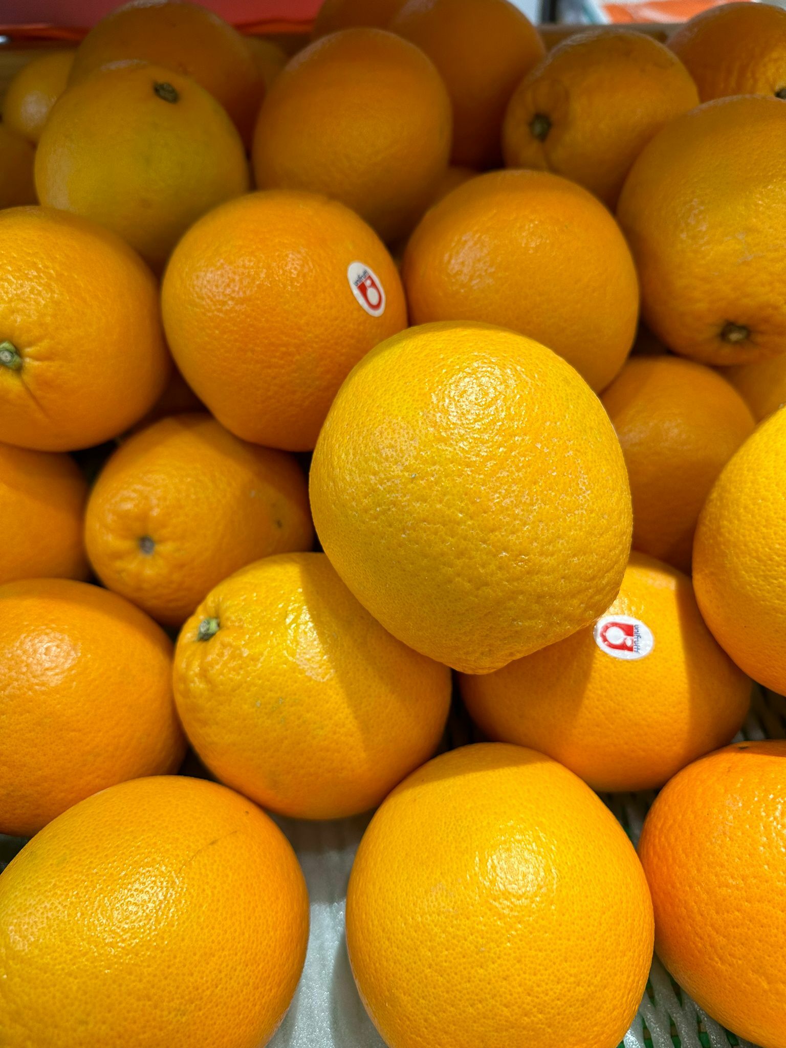 Bless-Fruit-南非niftutti橙