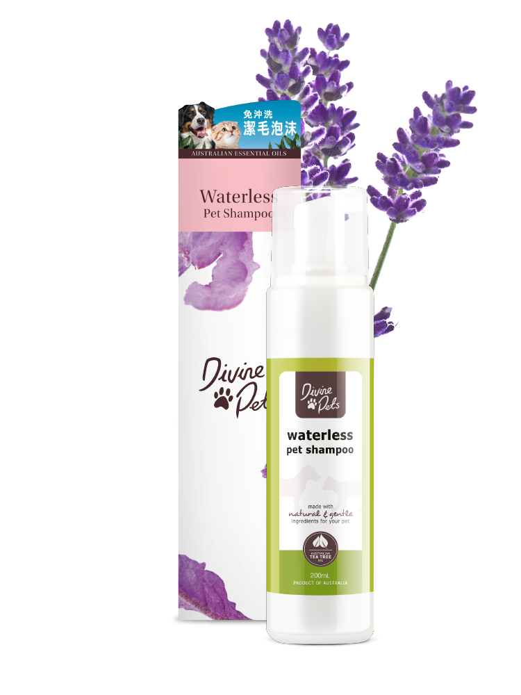 Divine Pets - 免沖洗潔毛泡沫 Waterless Pet Shampoo 200ml