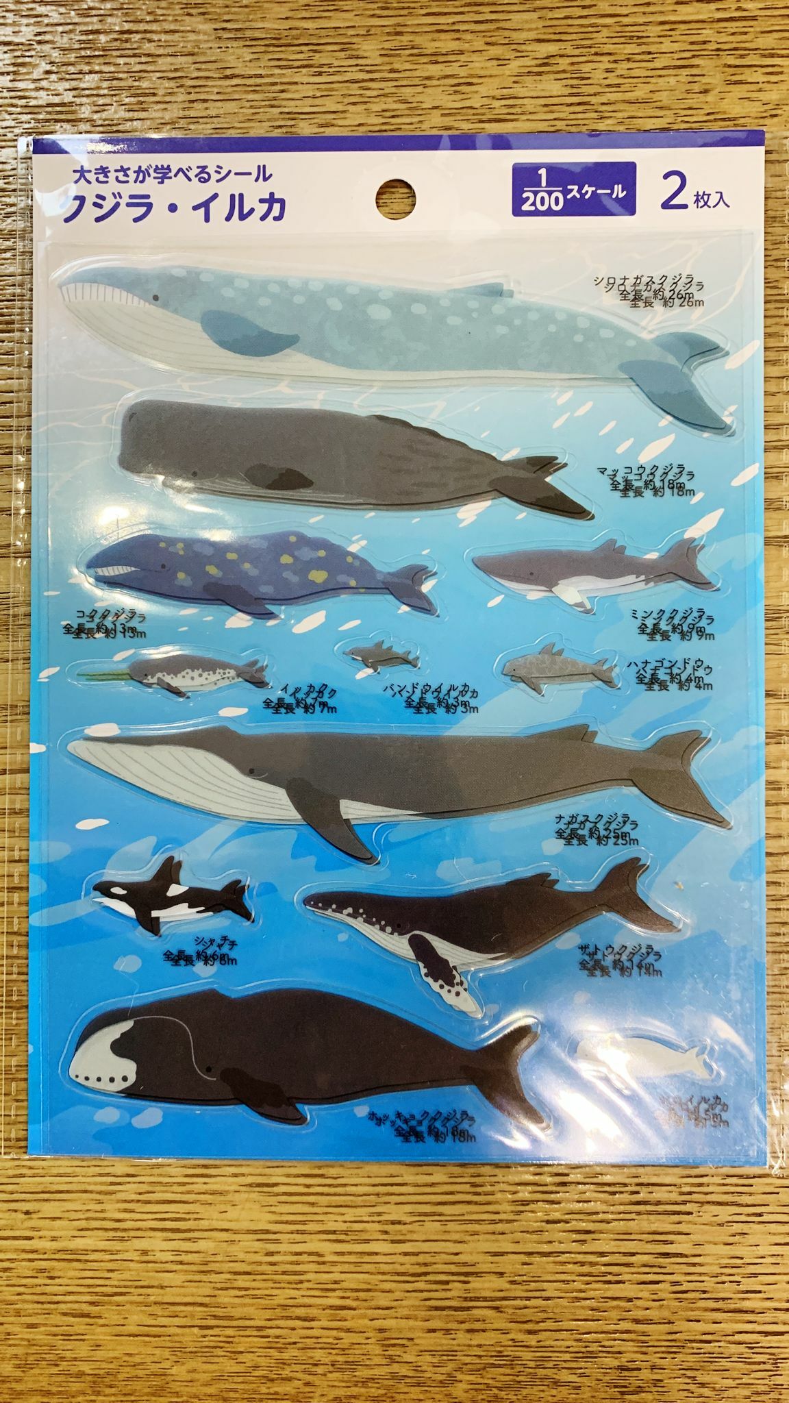 海洋生物貼紙2枚入