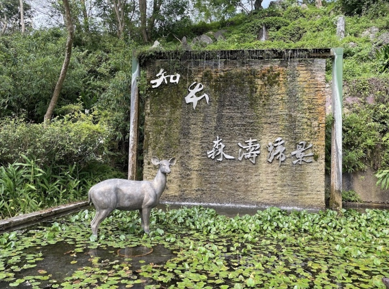 知本火車站可到達台東知本景點知本森林遊樂區，有多元的生物種，適合全家大小一起歡歡樂暢遊的森林遊樂區。