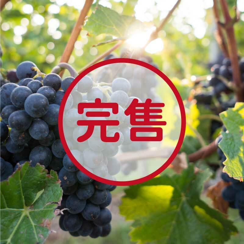 【巨峰葡萄】產季6~8月