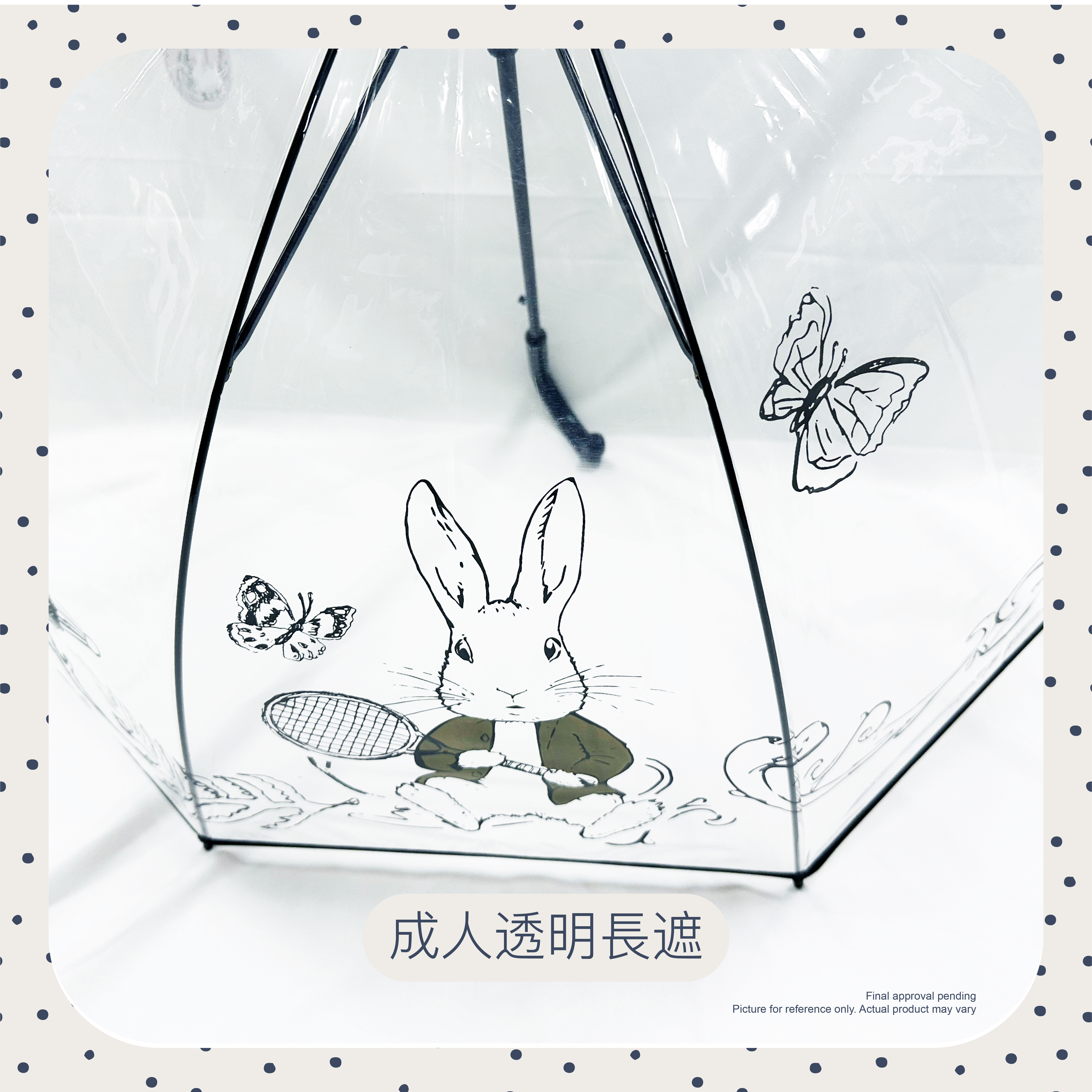 Peter Rabbit 成人透明公主長遮