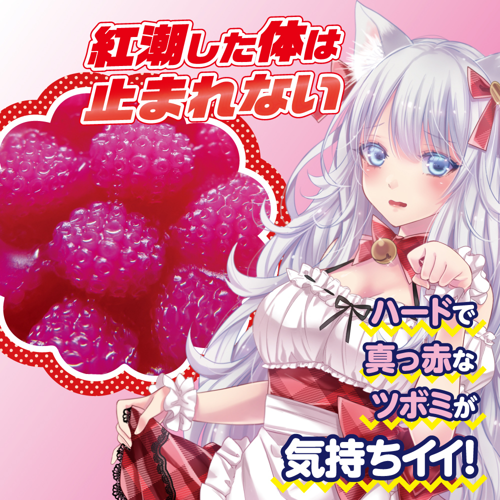 RIDE JAPAN,日本 RIDE JAPAN,RIDE JAPAN 自慰套,男用自慰套,男用飛機杯,飛機杯,二次元自慰套,二次元飛機杯,貓娘花蕾MIX,ツボミックス