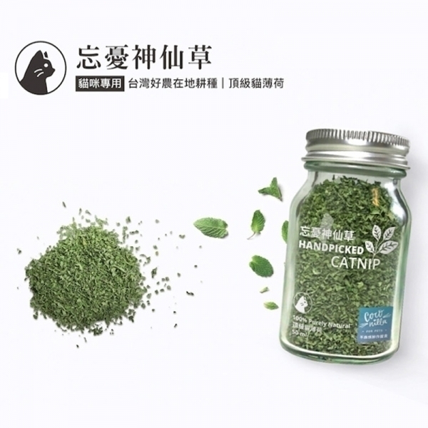 Coconilla - 忘憂神仙草 (台灣種天然有機貓薄荷) 50g