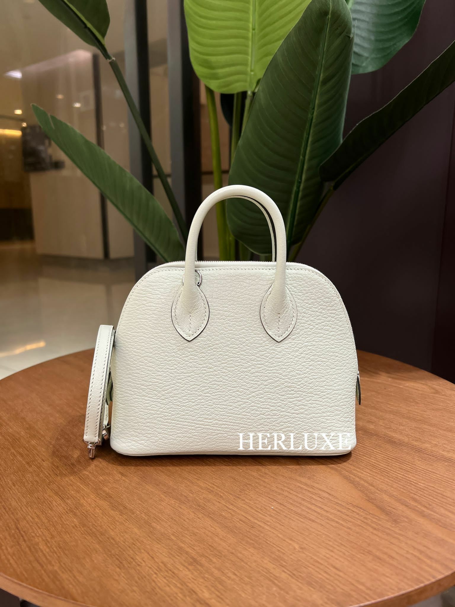 Bolide mini 0S vert fizz ck chevre B