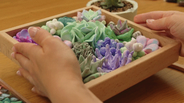 Okto Wood Craft Do-It-Yourself Three-dimensional Art Succulents Kit
