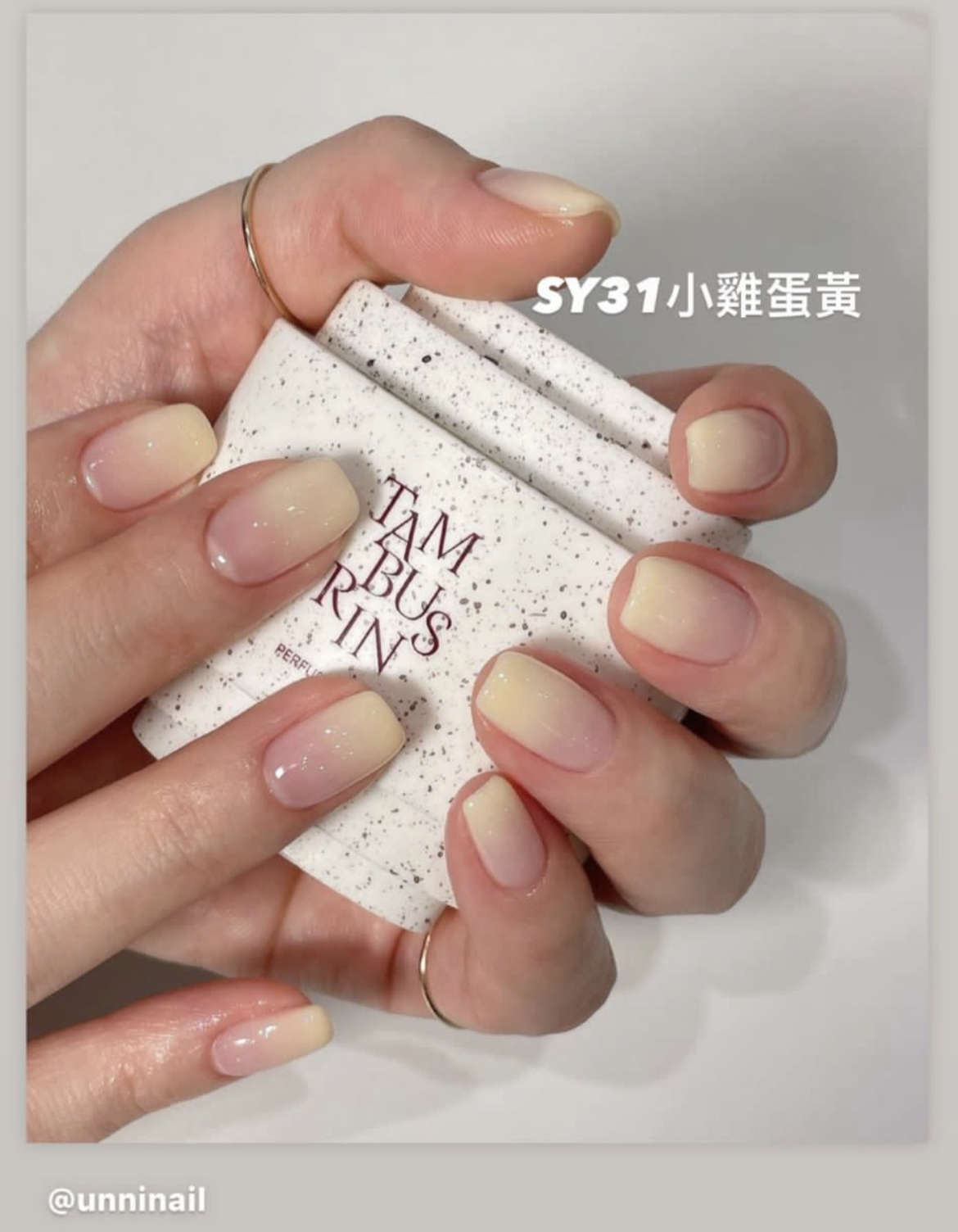 【買一送一】Estemio Sy31